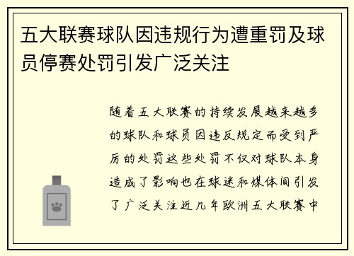 五大联赛球队因违规行为遭重罚及球员停赛处罚引发广泛关注